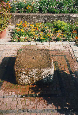 Foto vom Brunnen im Senkgarten des Botanischen 
Garten