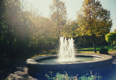 Foto vom Springbrunnen im Botanischen Garten